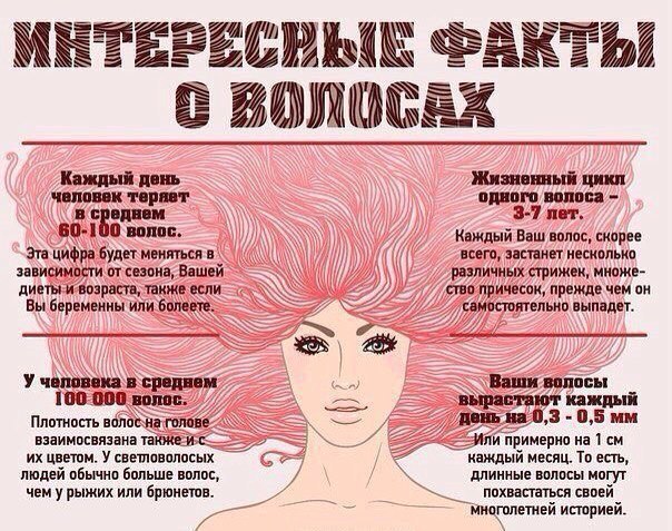 факты о волосах