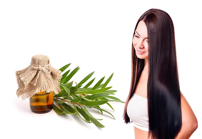 чайное дерево масло для волос польза